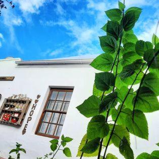 Worcester Gallery Cottage エクステリア 写真